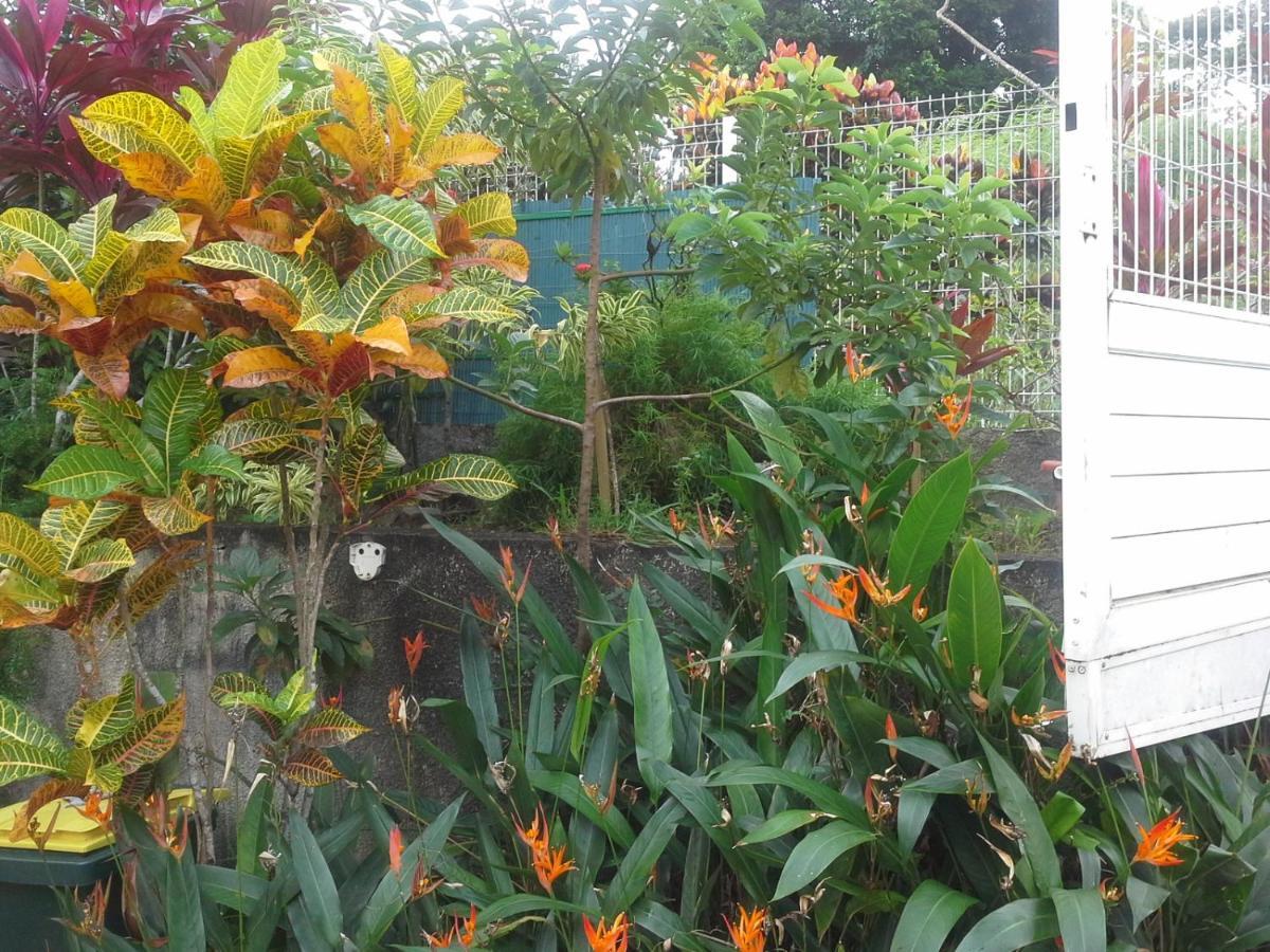 Chez Regine Apartment เลอ โฮแบร์ ภายนอก รูปภาพ